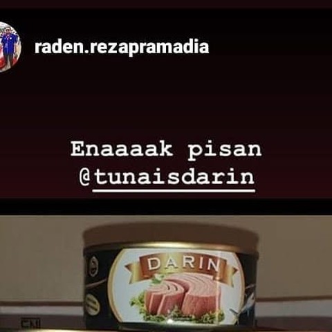 Dokumentasi Tuna Darin